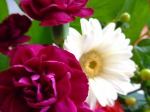 a0960_000964
