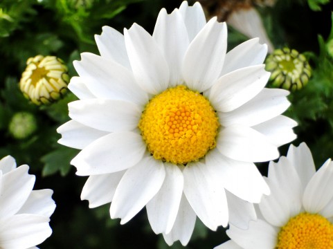 a1370_000547